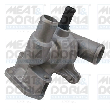 Thermostat, coolant
